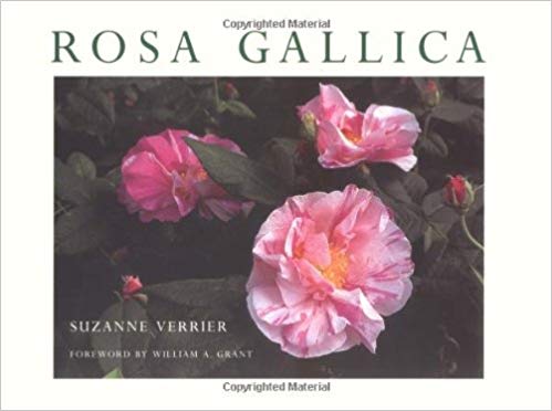 Verrier Gallica