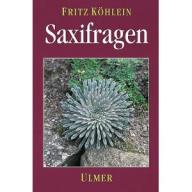 Köhlein Saxifragen