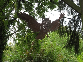 Eule in meinem Garten