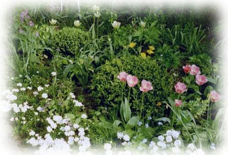 Unser Garten zur Osterzeit