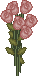 Valentinstag  - Blumen geh&ouml;ren dazu