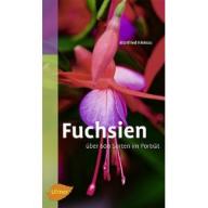 Kleinau Fuchsien