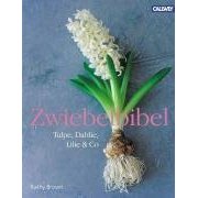 Brown, Kathy Zwiebelbibel. Tulpe, Dahlie, Lilie & Co