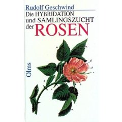 Geschwind Hybridation und Sämlingsaufzucht der Rosen