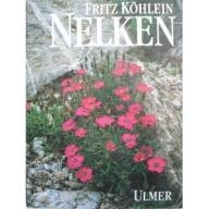 Köhlein Nelken