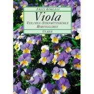 Köhlein Viola