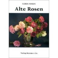 Nissen, Alte Rosen