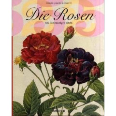 Redoute Die Rosen