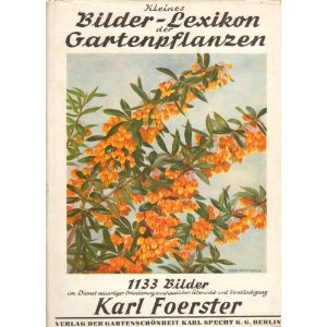 Foerster Kleines Bilderlexikon der Gartenpflanzen