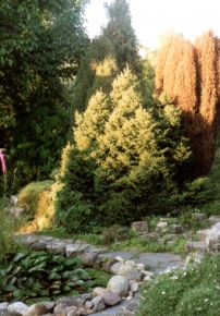 Peter Altmann-Garten in Caputh Foto Wolfgang Brandt