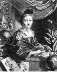 Anna Maria Sybilla Merian Foto Wikipedia