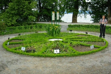 Blumenuhr Insel Mainau - frisch angelegt Foto Anja Achilles