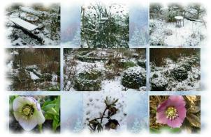 Fotos von unserem Garten im Winter