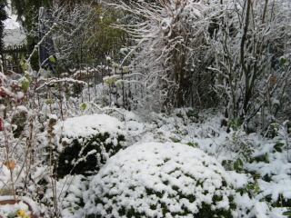 Mein Garten im Schnee