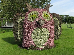 Eule im egapark Erfurt 